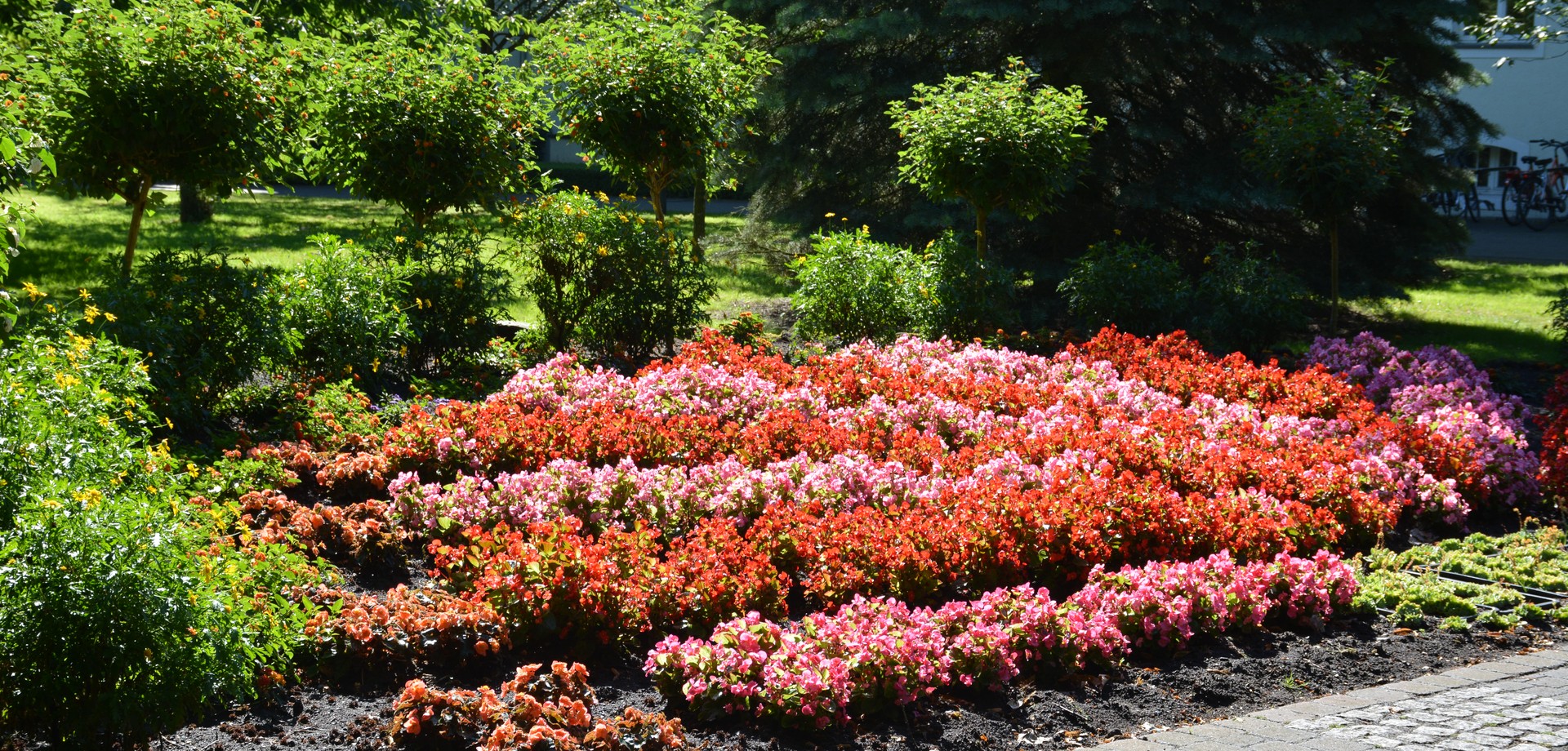 Im Vordergrund rote und rosafarbene Sommerblumen auf einem Rasen, dahinter grüne Bäume in Parklandschaft