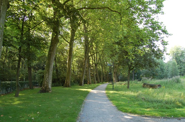 Ein asphaltierter Weg führt durch grüne Rasenflächen und an Bäumen vorbei im Sommer in Richtung eines Ausgangs vom Klinikgelände