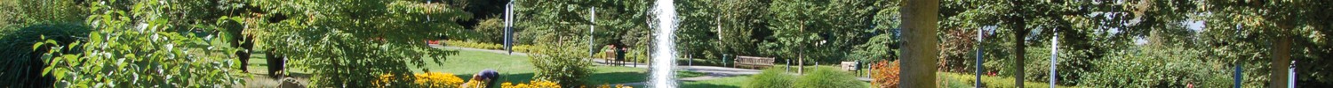 Springbrunnen mit Fontäne inmitten der grünen Klinik-Parklandschaft, im Vordergrund blühen rosafarbene und gelbe Blumen